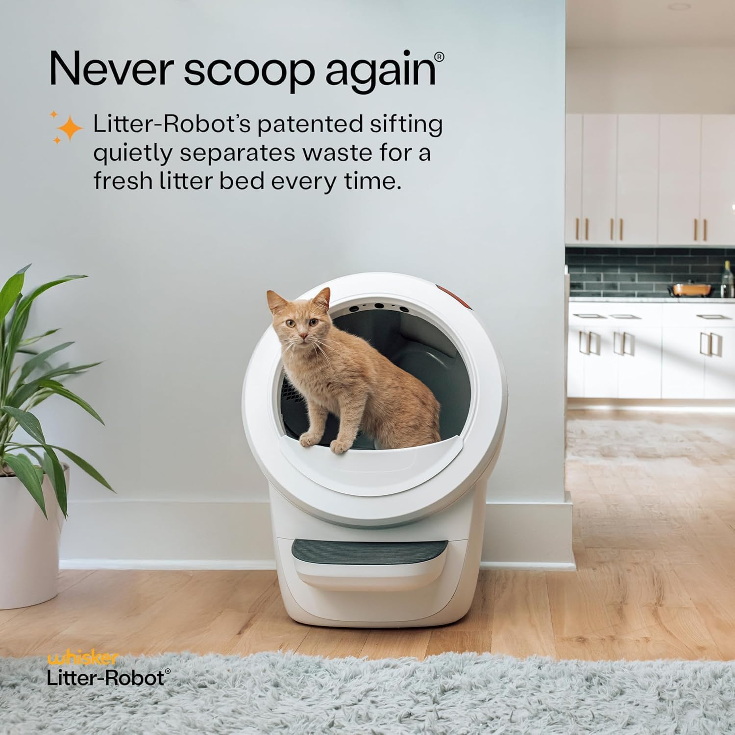 Does Your Litter Box App Actually Give Your Vet Useful Data?